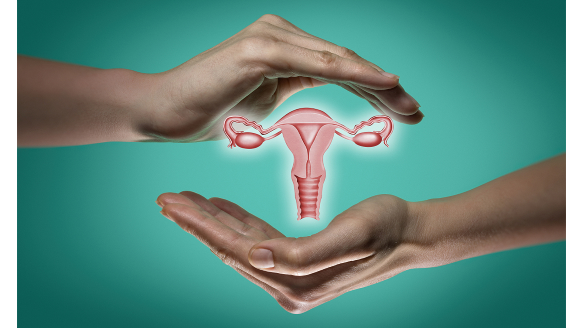 Menstrual Health Support - Hormone-supportive fitness